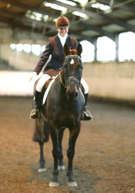 Equine Sports Massage in North Yorkshire